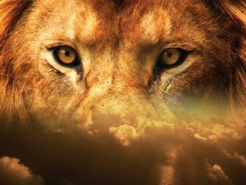 Close up of lion's eyes surrounded by clouds. The sky is the limit.