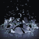 Glass shattering to represent the breaking of the disability glass veiling.